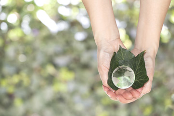 Concetto di ecologia