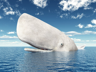 Fototapeta premium Sperm Whale