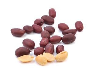 peanut on white background