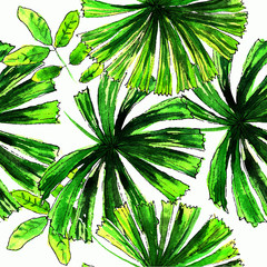 palm leaves watercolor pattern