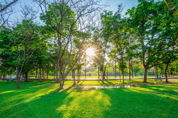 Beautiful green lawn in city park under sunny light