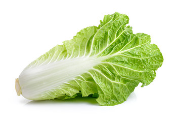 fresh chinese cabbage on a white background