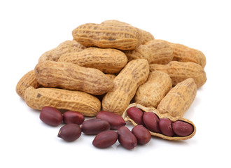 peanut isolated on a white background
