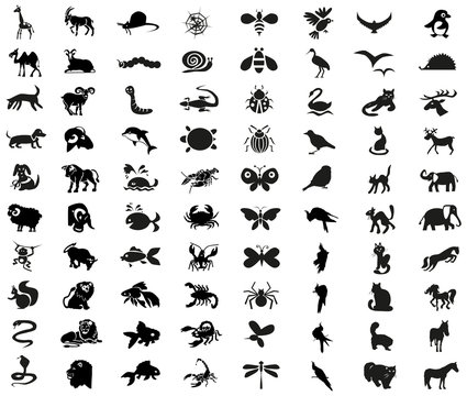 animals, birds, insects icons