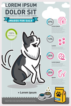 Infographic Food Dog