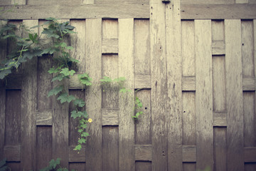 Wooden wall