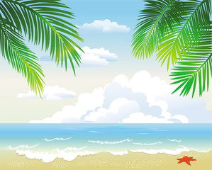 tropical beach with palm leaf