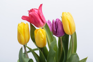 Flower bouquet from colorful tulips