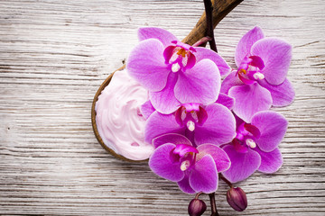 Pink orchid flower.
