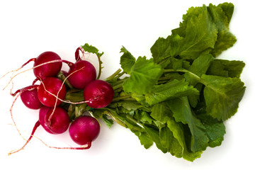 Bunch of fresh red radishes isolated on white background