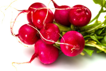 Bunch of fresh red radishes with green tops
