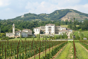 Italian Villa Rinaldi Barbini