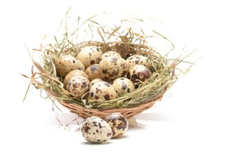 Naklejka na ściany i meble quail eggs isolated on white background