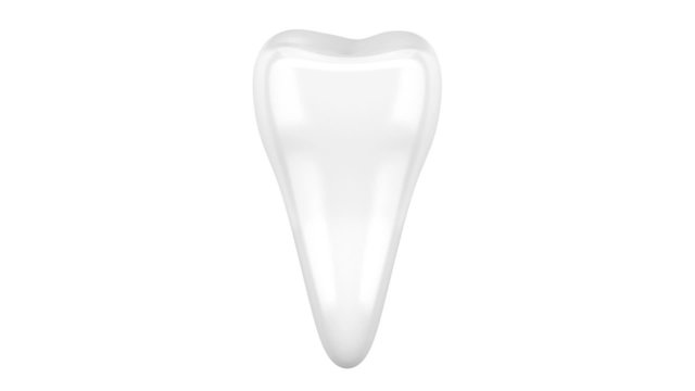 3d human tooth loop rotate on white background
