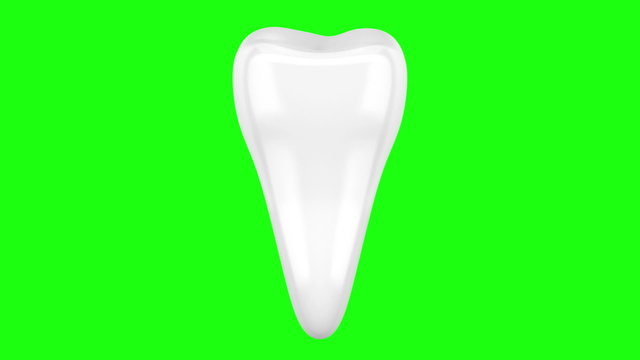 3d human tooth loop rotate on green chromakey background