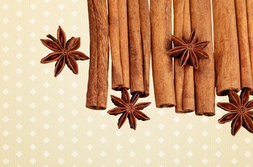 Cinnamon. Bundle of cinnamon sticks