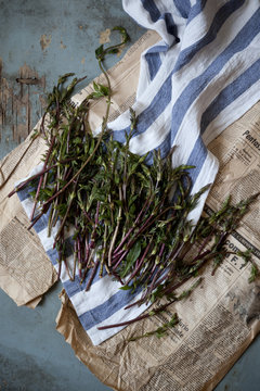 group of fresh wild asparagus on table with cloth