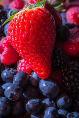 Berries Background