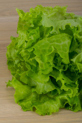 Salad leaves
