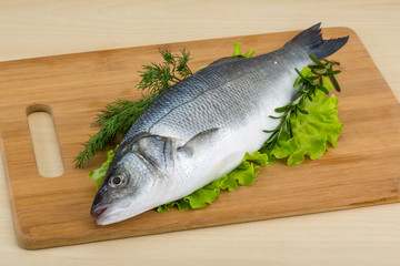 Raw seabass