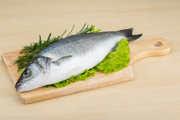 Raw seabass