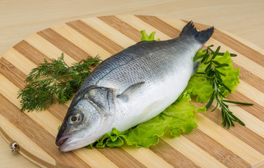 Raw seabass