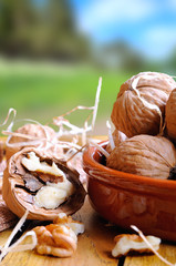 Group of walnuts on a table in the field vertical composition