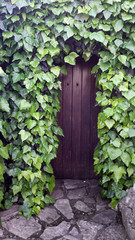 Misty doors behind ivy fence