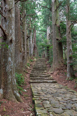 熊野古道・大門坂