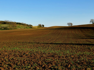 Campagna
