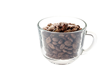 coffee beans isolated