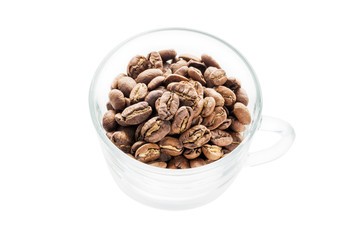 coffee beans isolated