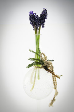 Very Small Purple Flowers In Crystal Vase