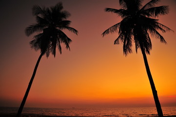 Beautiful Beach at Sunset Backgrounds