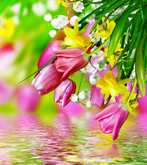 Spring flowers tulips and lilies of the valley