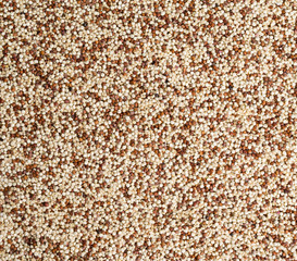 Quinoa