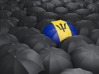 Umbrella with flag of barbados