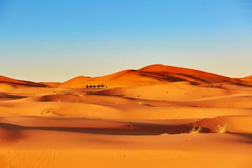 Papier Peint photo Lavable Sécheresse Caravane de chameaux dans le désert du Sahara