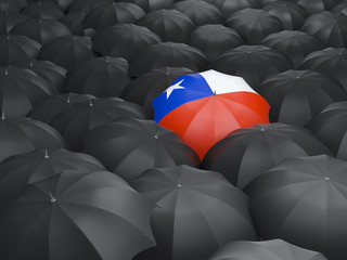 Umbrella with flag of chile