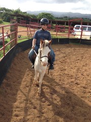Boy learning to ride a horse