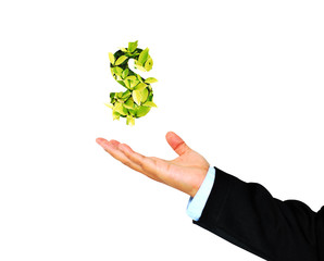 Business Hand receives Green dollar,cost saving concept