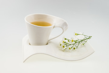 White cutter flower, Name of Science Aster sp.White Background