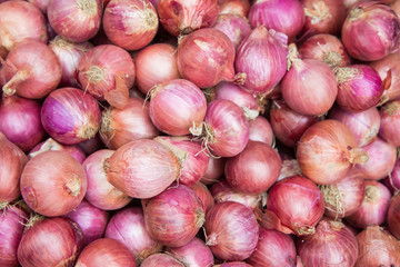 Red onion bulb