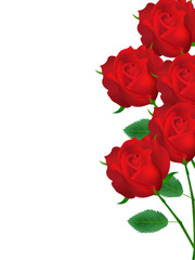 バラ　花　背景