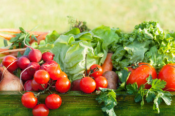 fresh organic vegetables
