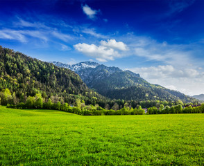 Alpine meadow in Bavaria,  Germany