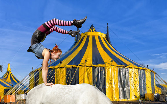 Handstand auf einem Pferder&uuml;cken