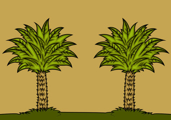 Palm Trees Background