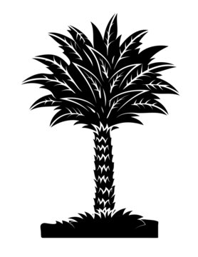 Palm Tree Black Shape