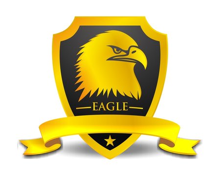 hawk eagle falcon bird gold logo image vector
